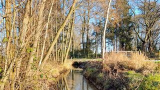 Natuurgebied Broekhuizerbroek