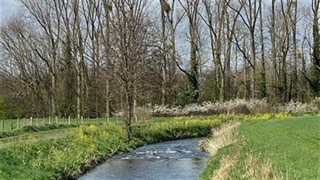 De Geleenbeek