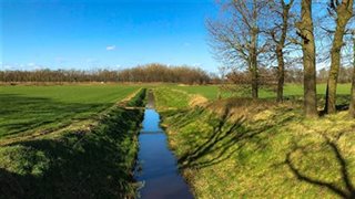 De Roggelsebeek