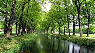 Peelkanaal Griendtsveen