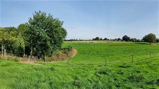 Panorama weilanden