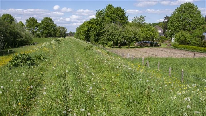 Well_dijk32_GroeneDijk_om_tuin_1_klein