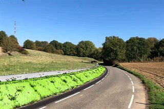 Fietspad