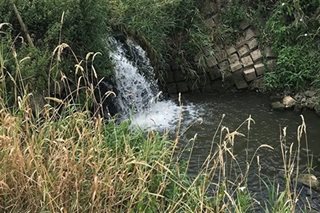 Waterschap Limburg en Rijkswaterstaat gaan aan de slag met de herinrichting van de uitmonding van de Hemelbeek in de Maas.