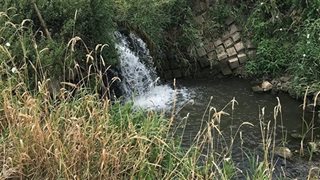 Waterschap Limburg en Rijkswaterstaat gaan aan de slag met de herinrichting van de uitmonding van de Hemelbeek in de Maas.