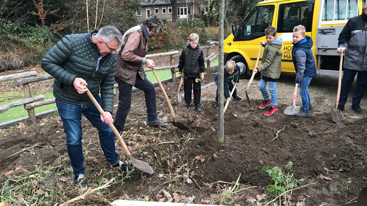 Dijkversterking Lottum/Grubbenvorst bijna gereed; 60 Bomen geplant ter compensatie