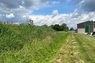 Grasland