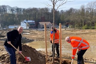 Planten van een boom