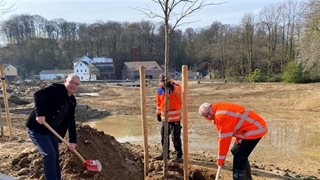 Planten van een boom