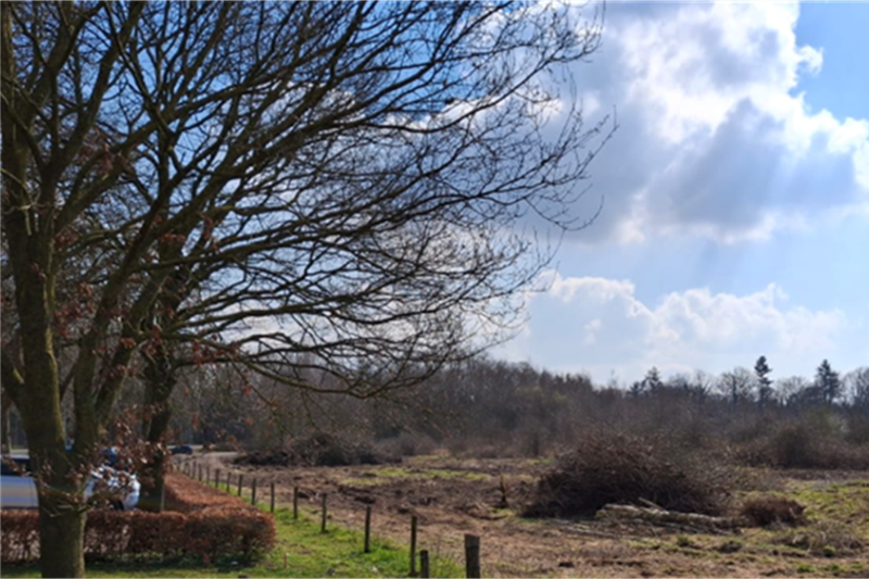Omgeving