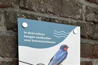 Bord nestkasten boerenzwaluwen