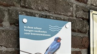 Bord nestkasten boerenzwaluwen