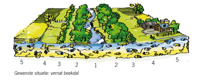 Beekdalontwikkeling