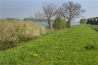 Groene berm langs het water