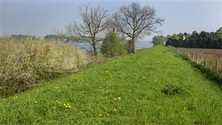 Groene berm langs het water