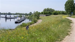 Dijk met bootsteigers