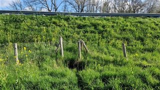 Faunatunnel