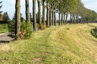 Dijkverhoging