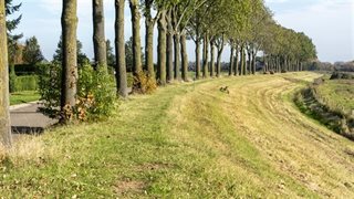 Dijkverhoging