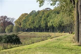 Omgeving project