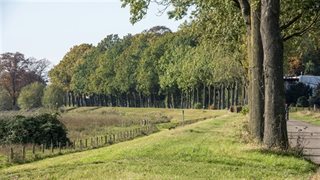 Omgeving project