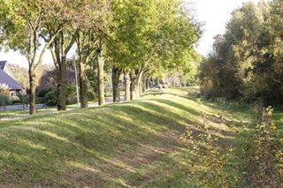 Omgeving met dijkverhoging en bomen