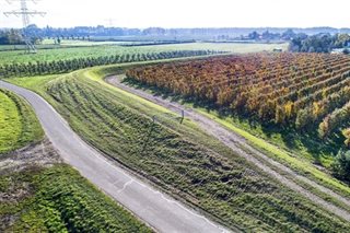 Omgeving met bomen en wegen