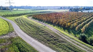 Omgeving met bomen en wegen