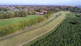 Omgeving met huizen en bomen
