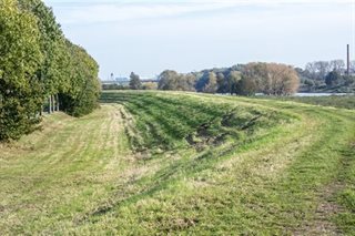 Omgeving met bomen en verhoging