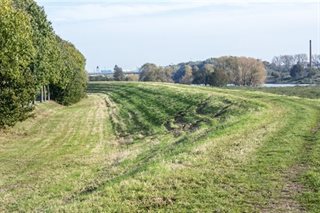 Een verhoging en bomen