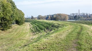 Een verhoging en bomen
