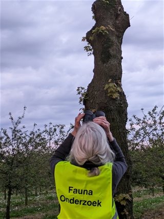 Fauna hesje onderzoek