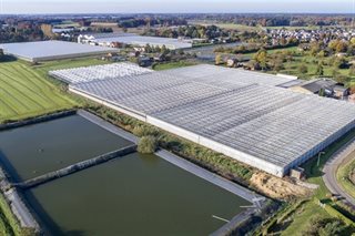 Omgeving