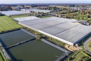 Omgeving
