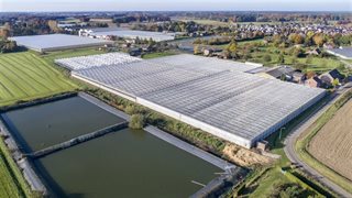 Omgeving