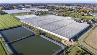 Omgeving