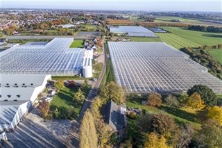 Omgeving met tuinkassen