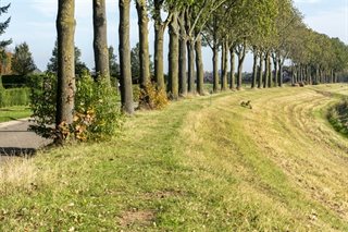 Omgeving met verhoging