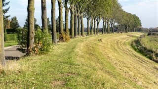 Omgeving met verhoging