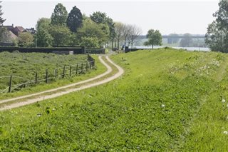 Omgeving met weiland en dijk