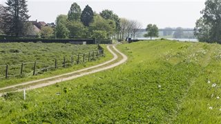 Omgeving met weiland en dijk