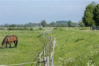 Weiland en dijkverhoging