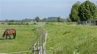 Weiland en dijkverhoging