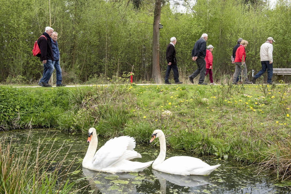 wandelen