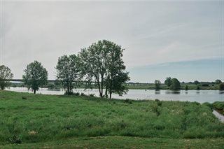 Groen bij rivier