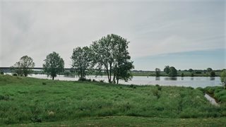 Groen bij rivier