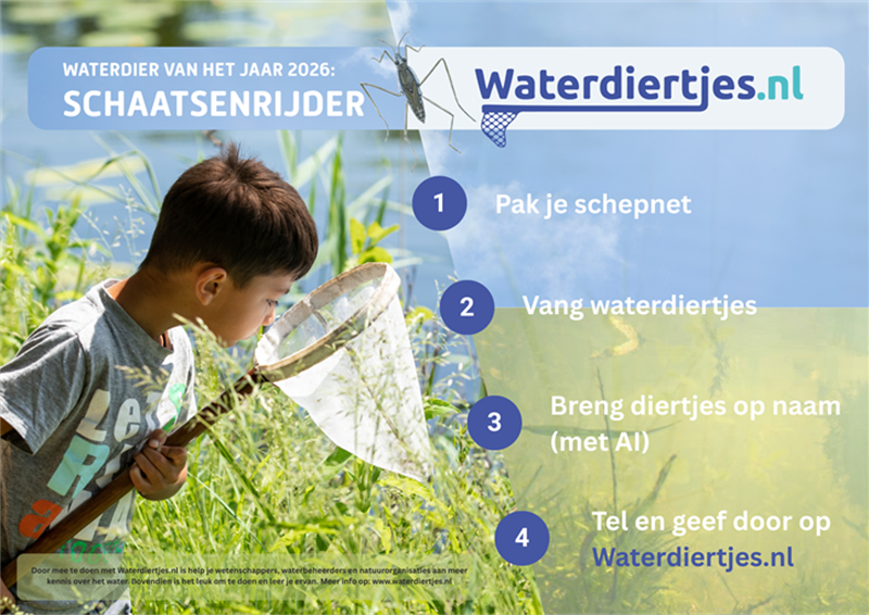 Poster schaatsenrijder