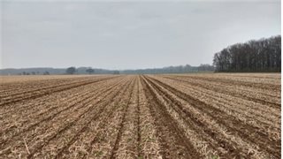 Gewasresten op akker