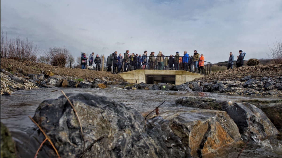 Nieuwe vispassage en hoogwaterbescherming Volmolen in Epen